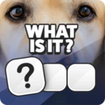 guess it! android application logo